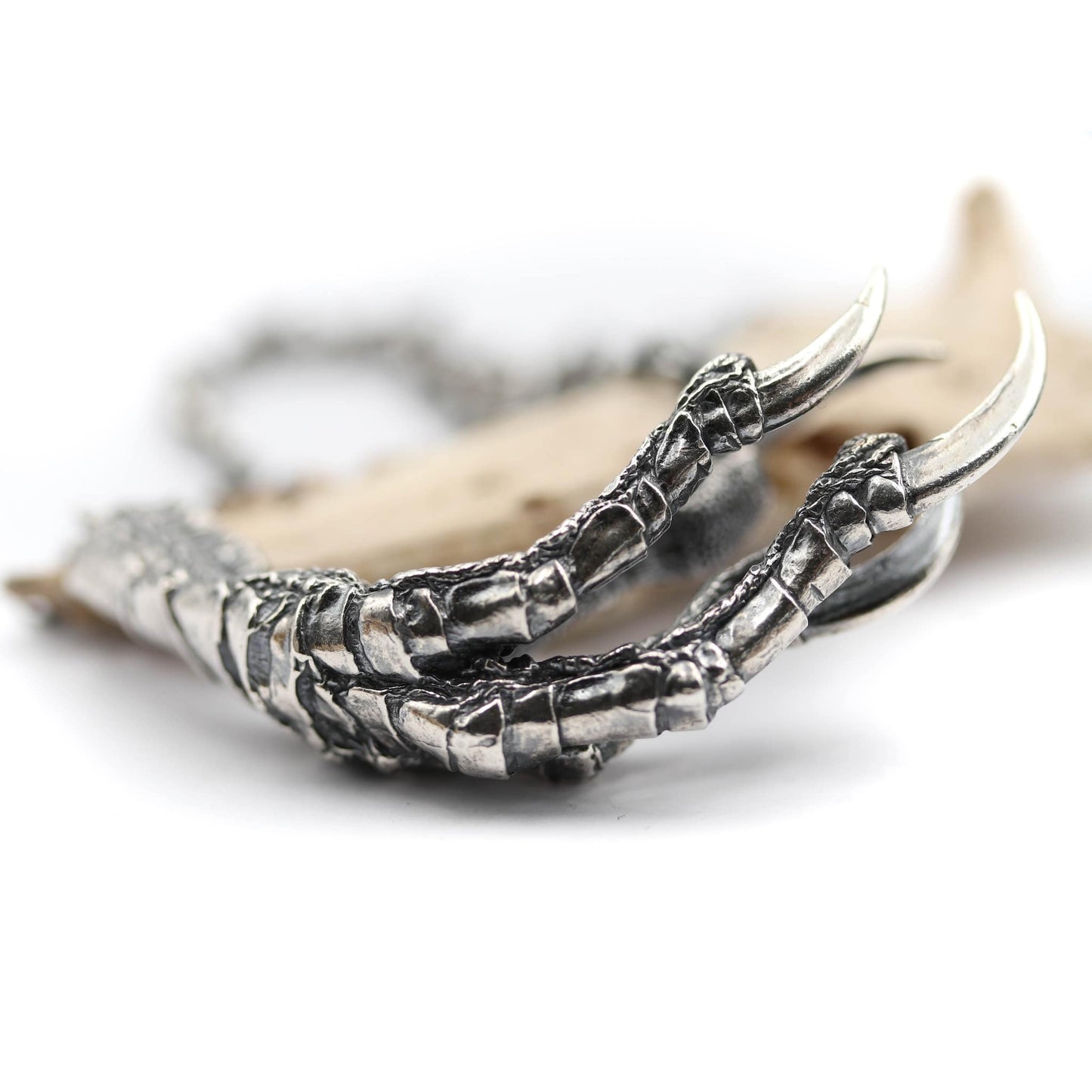 The Messenger - Raven Foot Pendant