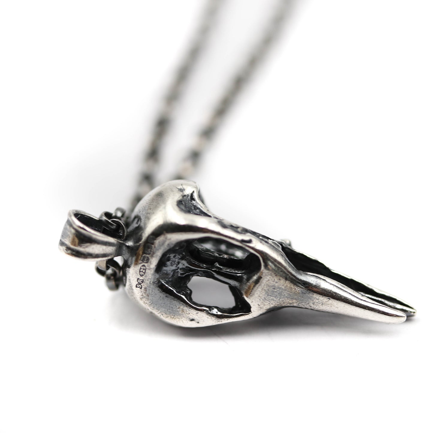 Robin Skull Pendant