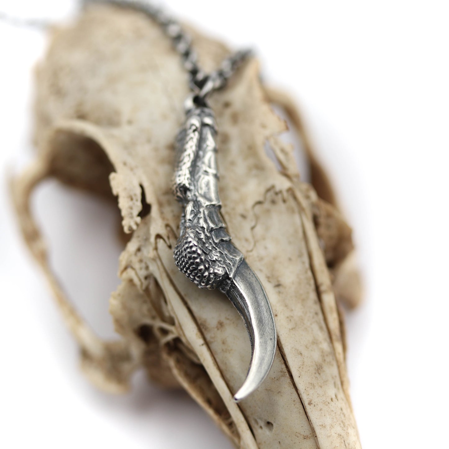 Crow Claw Pendant